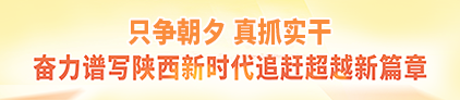 只爭朝夕 真抓實干 奮力譜寫陜西新時代追趕超越新篇章